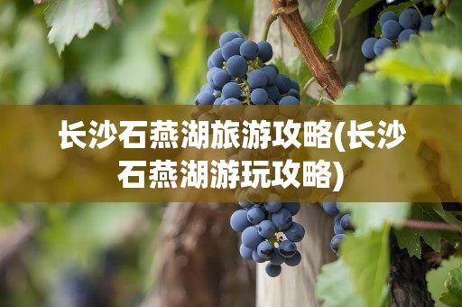 长沙石燕湖旅游攻略(长沙石燕湖游玩攻略)