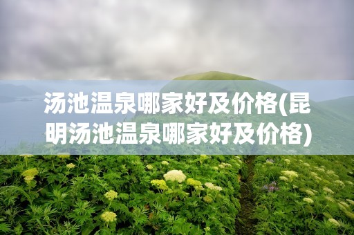 汤池温泉哪家好及价格(昆明汤池温泉哪家好及价格)