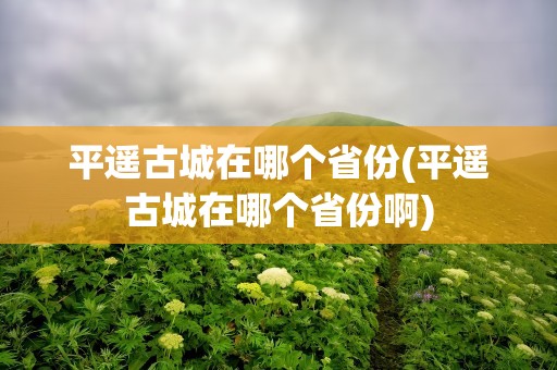平遥古城在哪个省份(平遥古城在哪个省份啊)