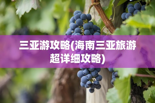 三亚游攻略(海南三亚旅游超详细攻略)