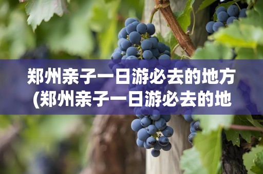 郑州亲子一日游必去的地方(郑州亲子一日游必去的地方免费)