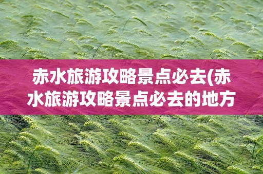 赤水旅游攻略景点必去(赤水旅游攻略景点必去的地方)