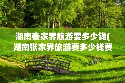 湖南张家界旅游要多少钱(湖南张家界旅游要多少钱费用)