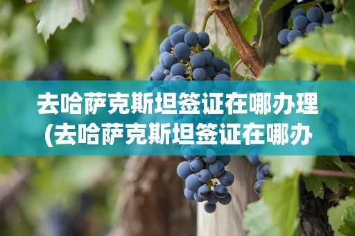 去哈萨克斯坦签证在哪办理(去哈萨克斯坦签证在哪办理呢)