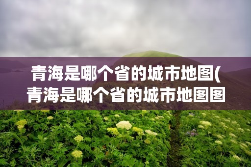青海是哪个省的城市地图(青海是哪个省的城市地图图片)