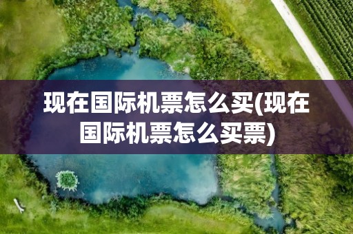 现在国际机票怎么买(现在国际机票怎么买票)