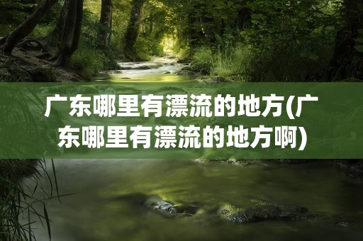 广东哪里有漂流的地方(广东哪里有漂流的地方啊)