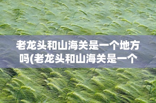 老龙头和山海关是一个地方吗(老龙头和山海关是一个景区吗)