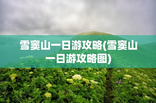 雪窦山一日游攻略(雪窦山一日游攻略图)