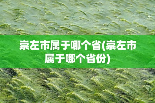 崇左市属于哪个省(崇左市属于哪个省份)