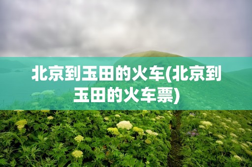 北京到玉田的火车(北京到玉田的火车票)