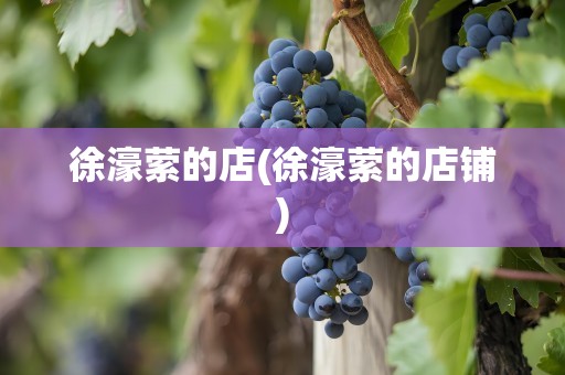 徐濠萦的店(徐濠萦的店铺)