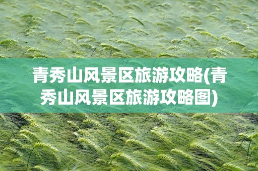 青秀山风景区旅游攻略(青秀山风景区旅游攻略图)