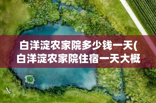 白洋淀农家院多少钱一天(白洋淀农家院住宿一天大概多少钱)