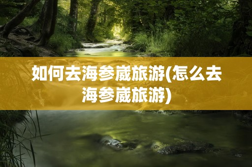 如何去海参崴旅游(怎么去海参崴旅游)