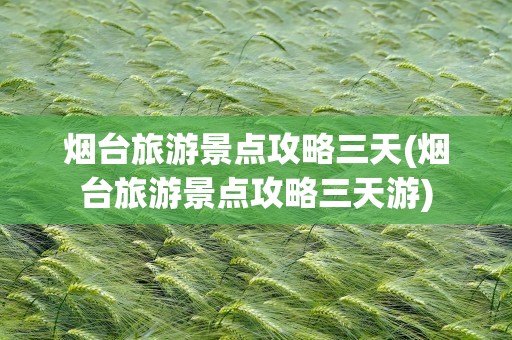 烟台旅游景点攻略三天(烟台旅游景点攻略三天游)