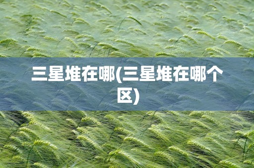 三星堆在哪(三星堆在哪个区)