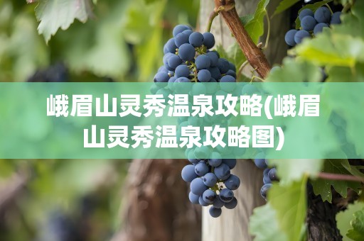 峨眉山灵秀温泉攻略(峨眉山灵秀温泉攻略图)