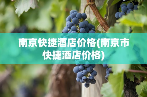 南京快捷酒店价格(南京市快捷酒店价格)