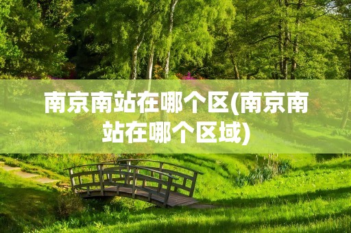 南京南站在哪个区(南京南站在哪个区域)