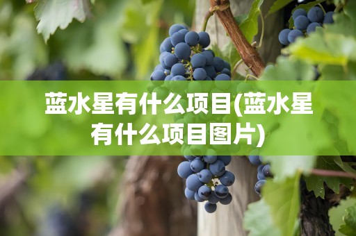 蓝水星有什么项目(蓝水星有什么项目图片)