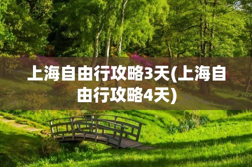 上海自由行攻略3天(上海自由行攻略4天)