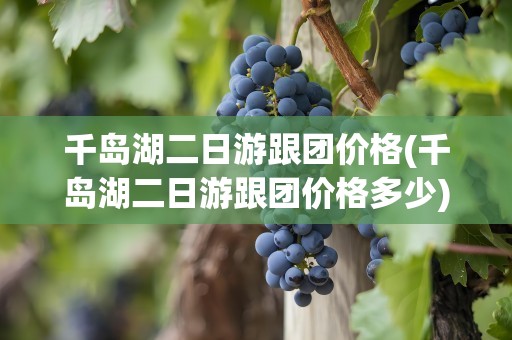 千岛湖二日游跟团价格(千岛湖二日游跟团价格多少)