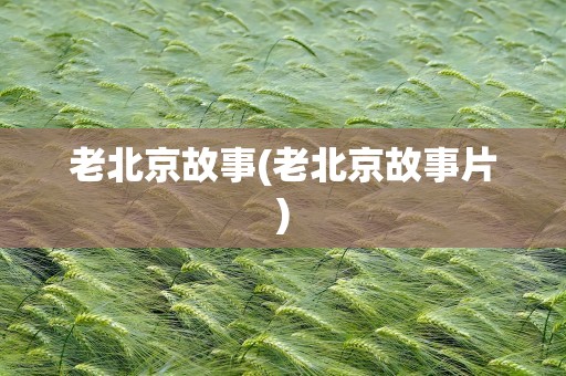 老北京故事(老北京故事片)