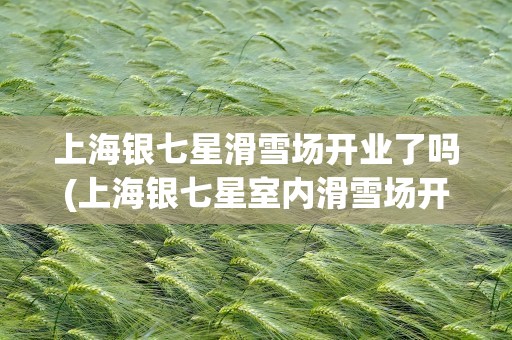 上海银七星滑雪场开业了吗(上海银七星室内滑雪场开业了吗)