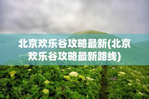 北京欢乐谷攻略最新(北京欢乐谷攻略最新路线)