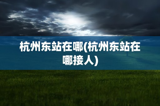 杭州东站在哪(杭州东站在哪接人)