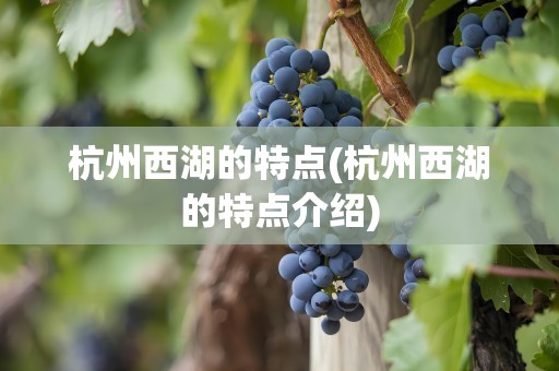 杭州西湖的特点(杭州西湖的特点介绍)