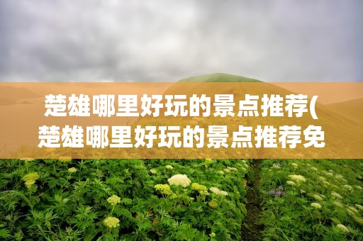 楚雄哪里好玩的景点推荐(楚雄哪里好玩的景点推荐免费)