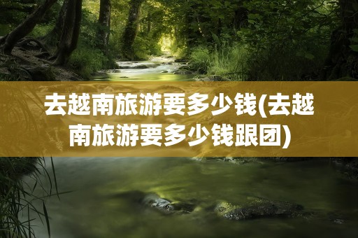 去越南旅游要多少钱(去越南旅游要多少钱跟团)