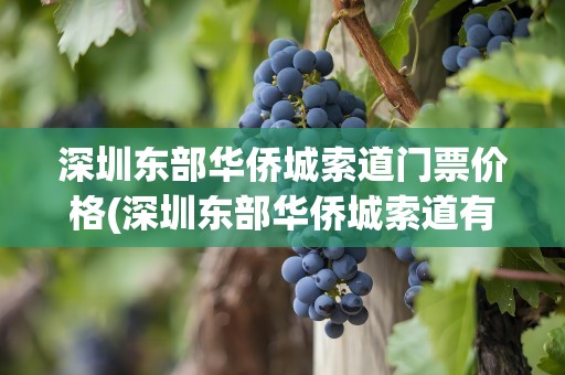 深圳东部华侨城索道门票价格(深圳东部华侨城索道有多长)