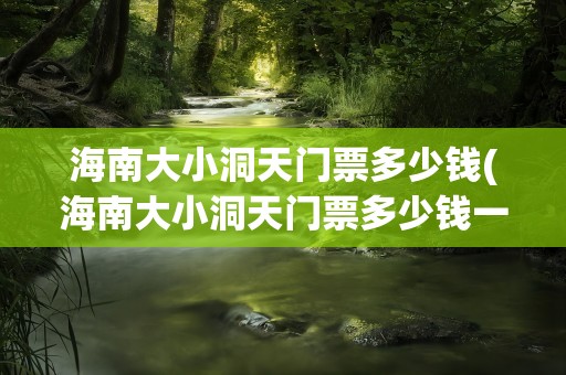海南大小洞天门票多少钱(海南大小洞天门票多少钱一张)
