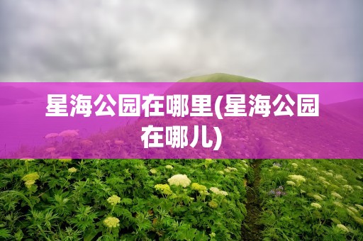 星海公园在哪里(星海公园在哪儿)