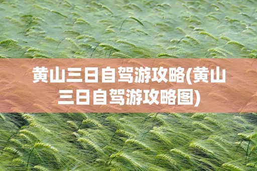 黄山三日自驾游攻略(黄山三日自驾游攻略图)