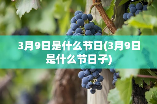 3月9日是什么节日(3月9日是什么节日子)