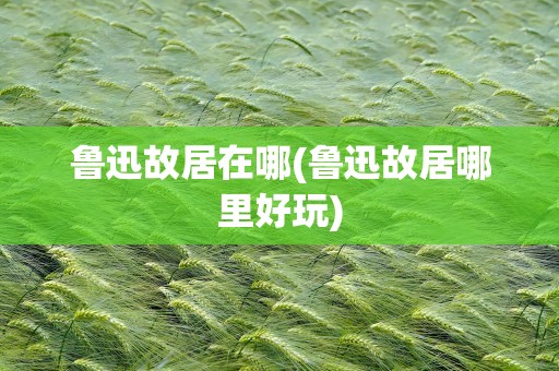 鲁迅故居在哪(鲁迅故居哪里好玩)