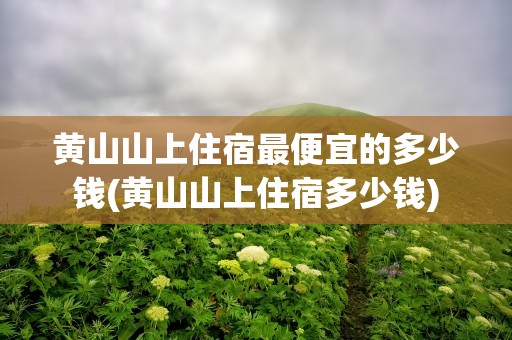 黄山山上住宿最便宜的多少钱(黄山山上住宿多少钱)