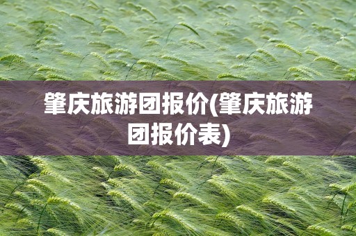 肇庆旅游团报价(肇庆旅游团报价表)