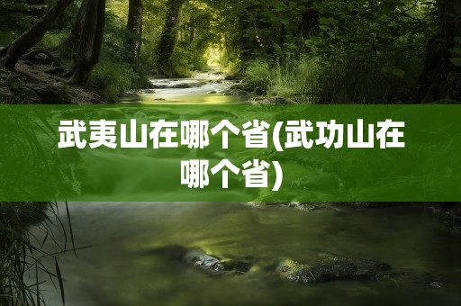 武夷山在哪个省(武功山在哪个省)
