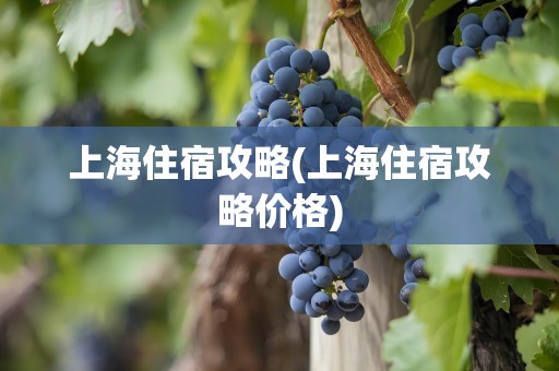 上海住宿攻略(上海住宿攻略价格)