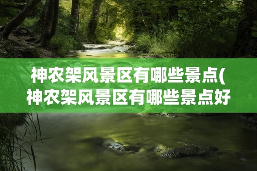 神农架风景区有哪些景点(神农架风景区有哪些景点好玩)