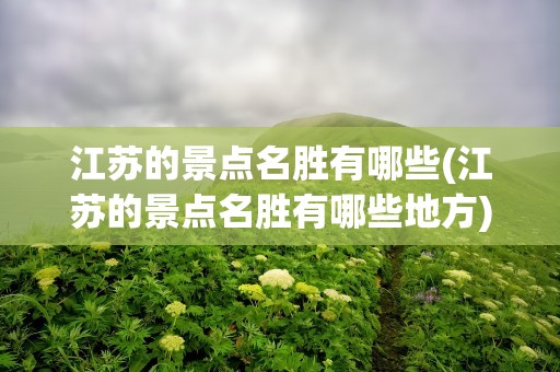 江苏的景点名胜有哪些(江苏的景点名胜有哪些地方)
