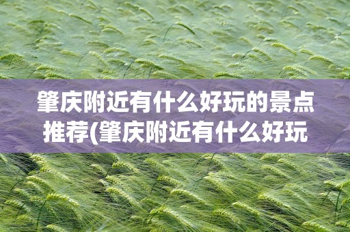 肇庆附近有什么好玩的景点推荐(肇庆附近有什么好玩的景点推荐一下)