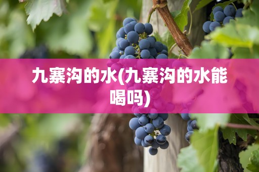 九寨沟的水(九寨沟的水能喝吗)