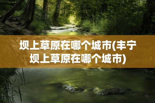 坝上草原在哪个城市(丰宁坝上草原在哪个城市)