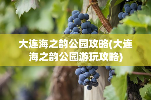 大连海之韵公园攻略(大连海之韵公园游玩攻略)